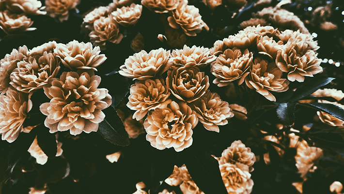 4 Women Who Changed Perfumery Forever